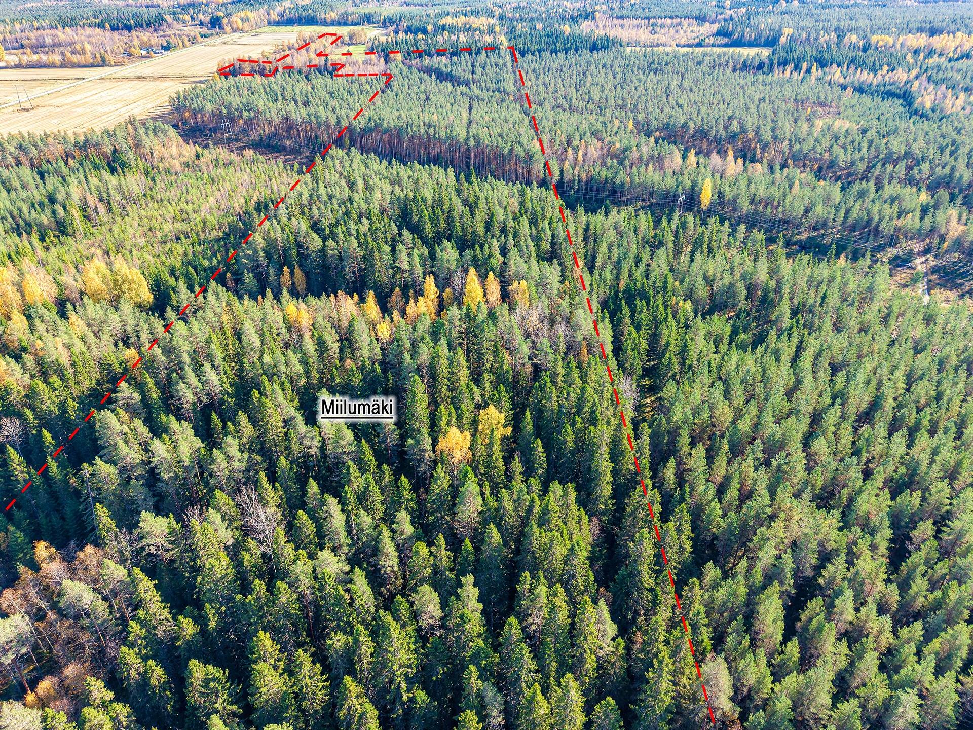 Seinäjoki, Miilumäki 743-401-5-715 ja Kaistala 743-401-5-716 1