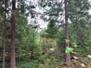 MUTALA, 491-451-12-11, n.1,48 ha:n määräala tilasta Väliaho 491-451-12-26 1