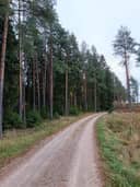 Mustavaara1 5:7 1
