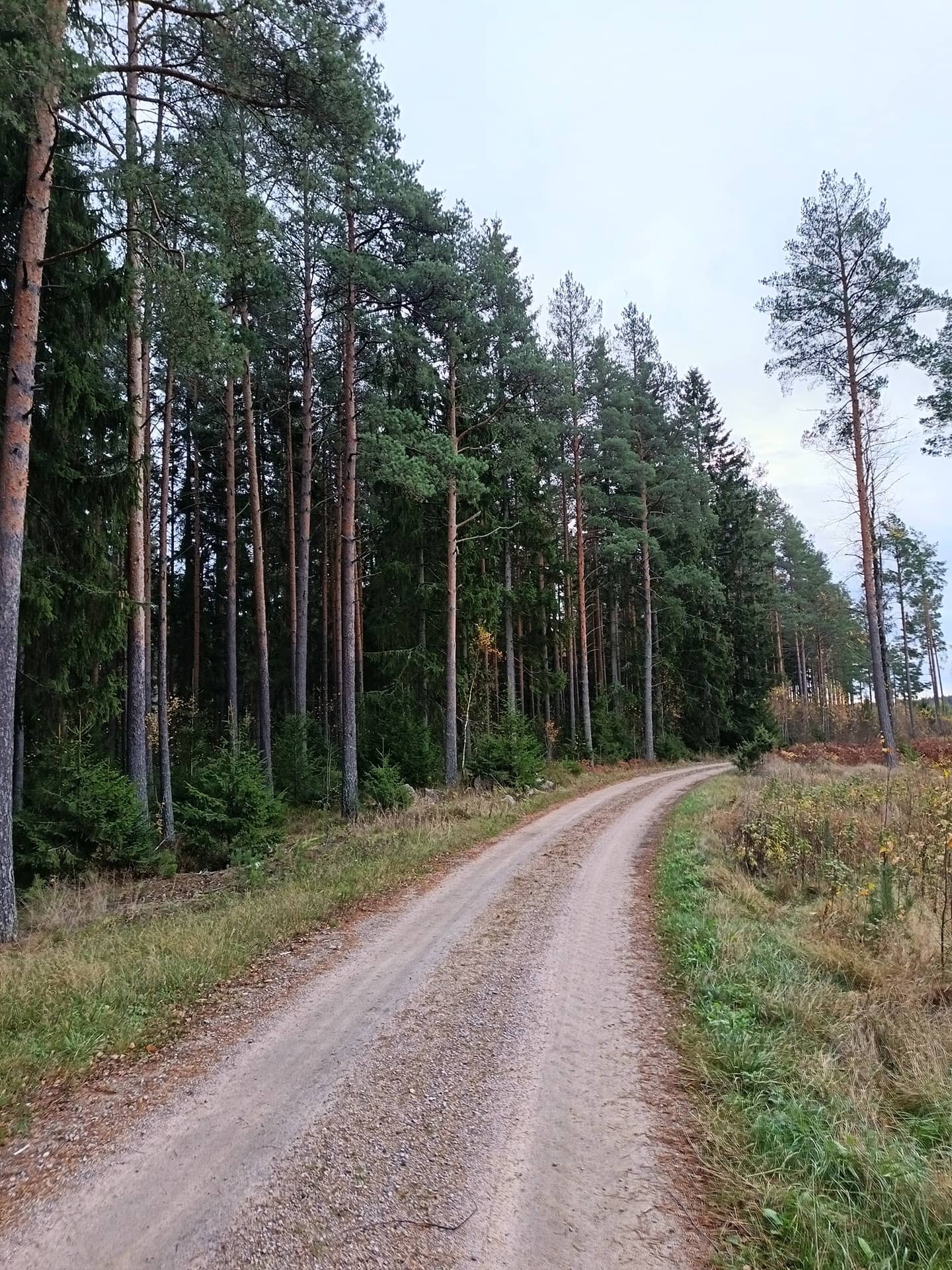 Mustavaara1 5:7 1