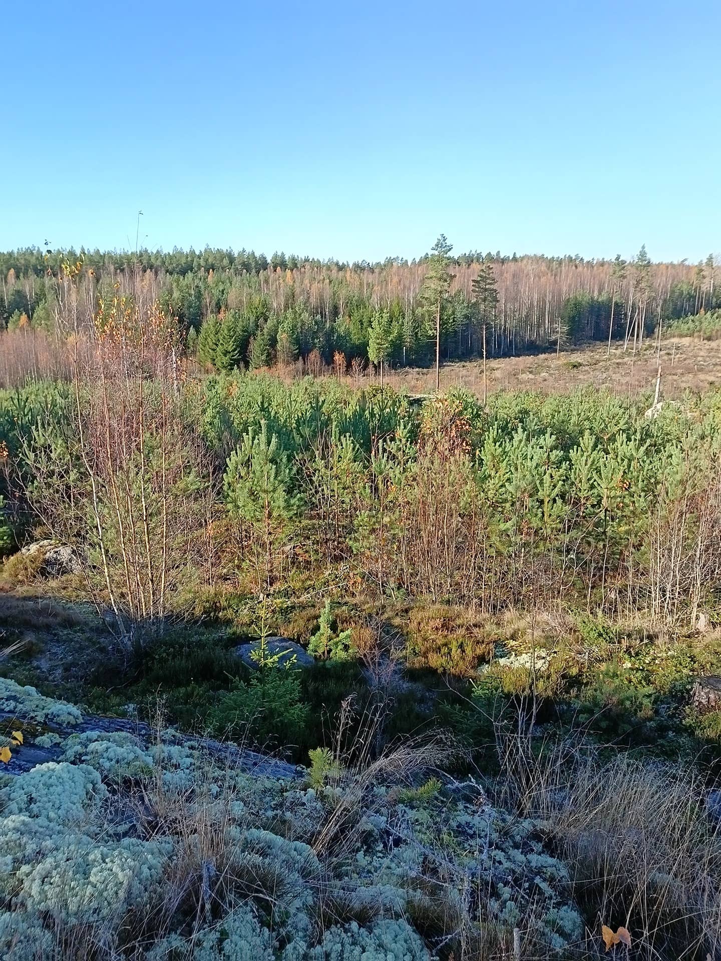 Saarimäki 2:68 1