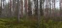 Soini, JUKKALA 759-401-2-30 1