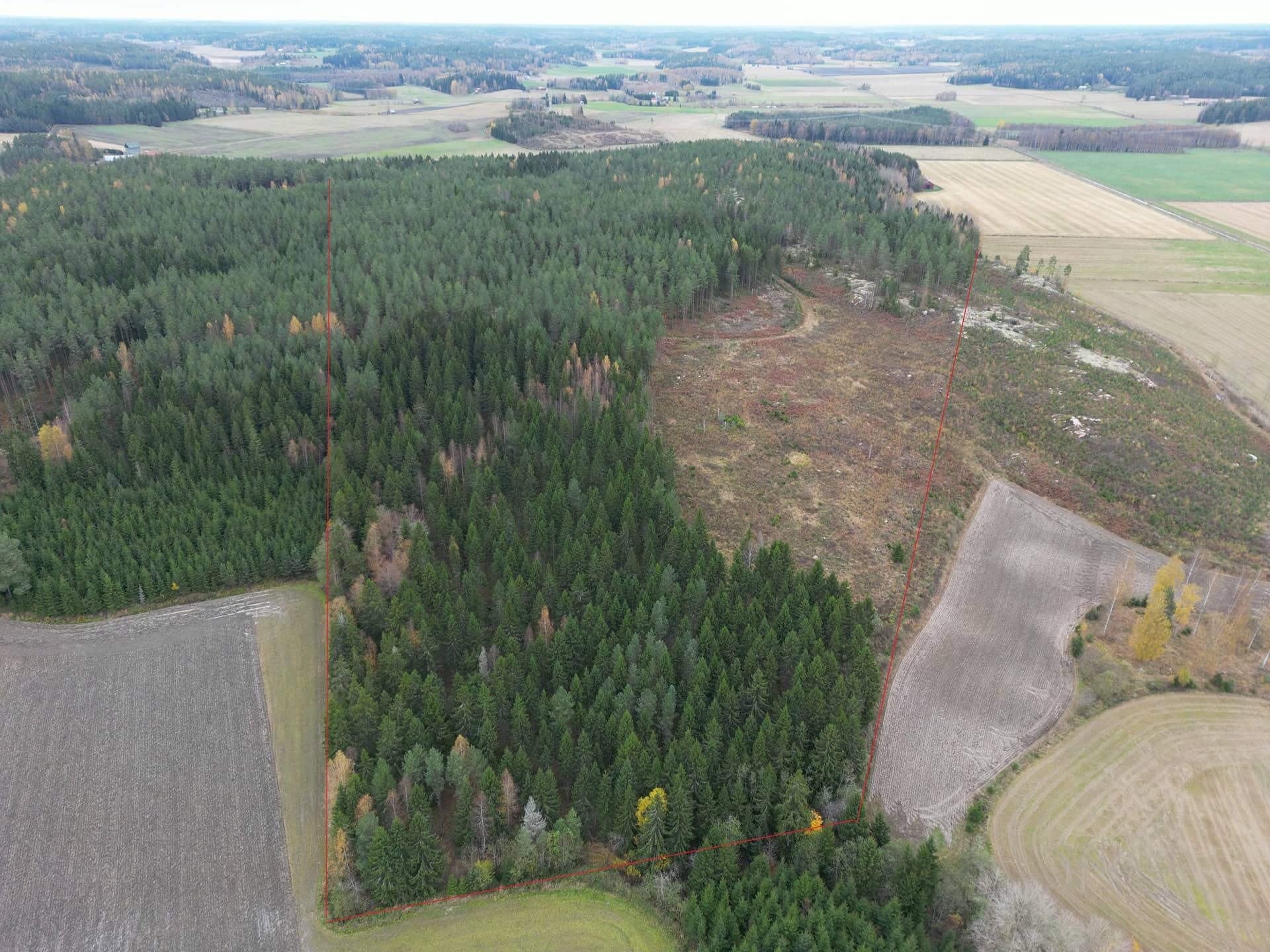 Metsämääräala n. 54 ha tilasta Ketunböle, Salo, Paarskylä 1