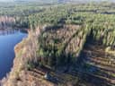 Ruovesi Syrjänperä/Ahveninen, metsätila Lammila 1