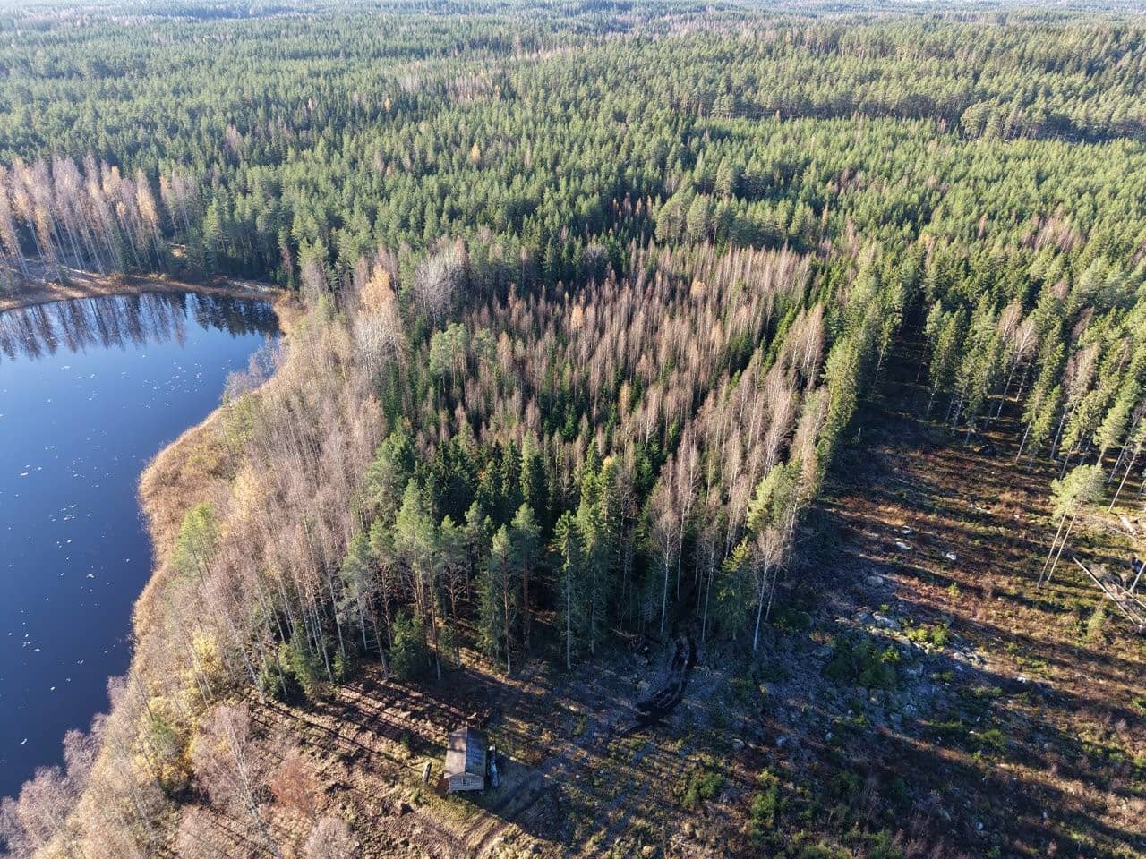 Ruovesi Syrjänperä/Ahveninen, metsätila Lammila 1