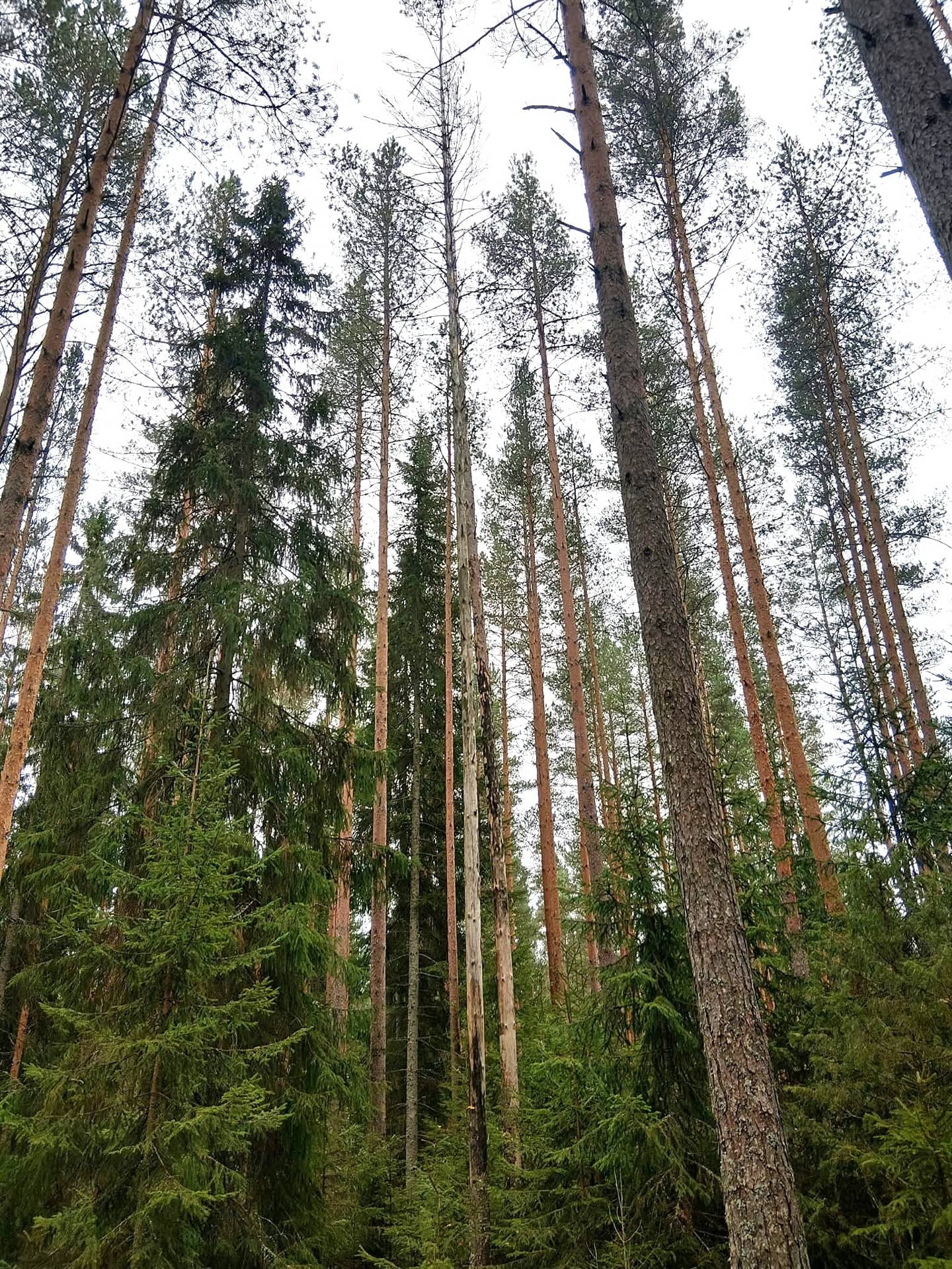 Ma Takkula 1:147 1