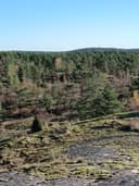 Vihervuori I 8:2 ja määräala Vihervuori 2:14 1