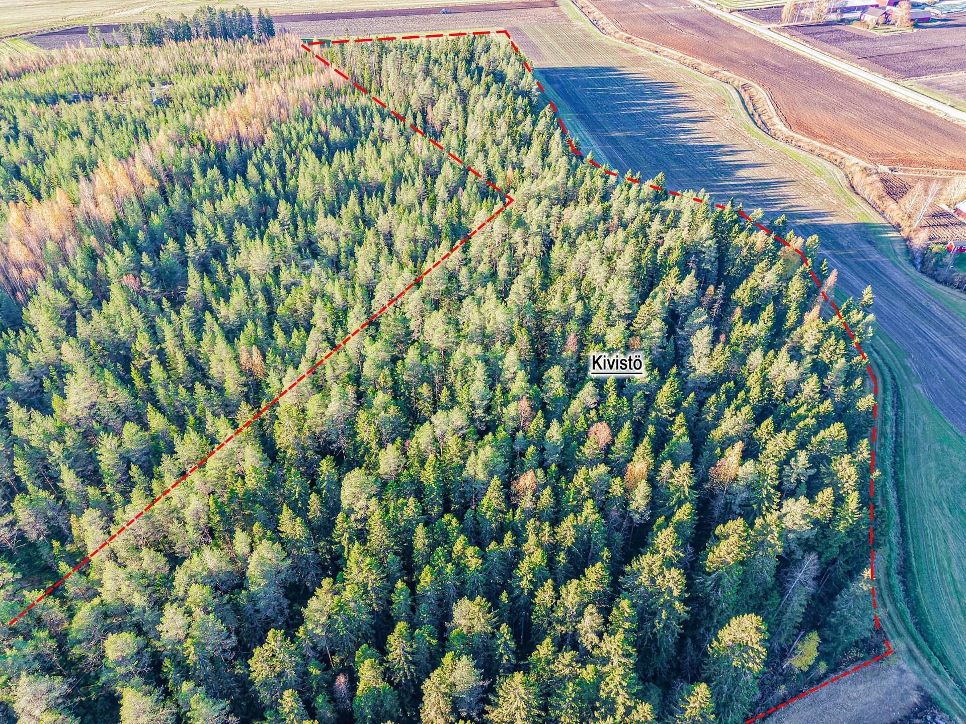 Seinäjoki, Ylistaro, Kivistö 743-439-1-110, määräala 1