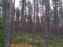 Kärkkäälä 791-402-7-12 1