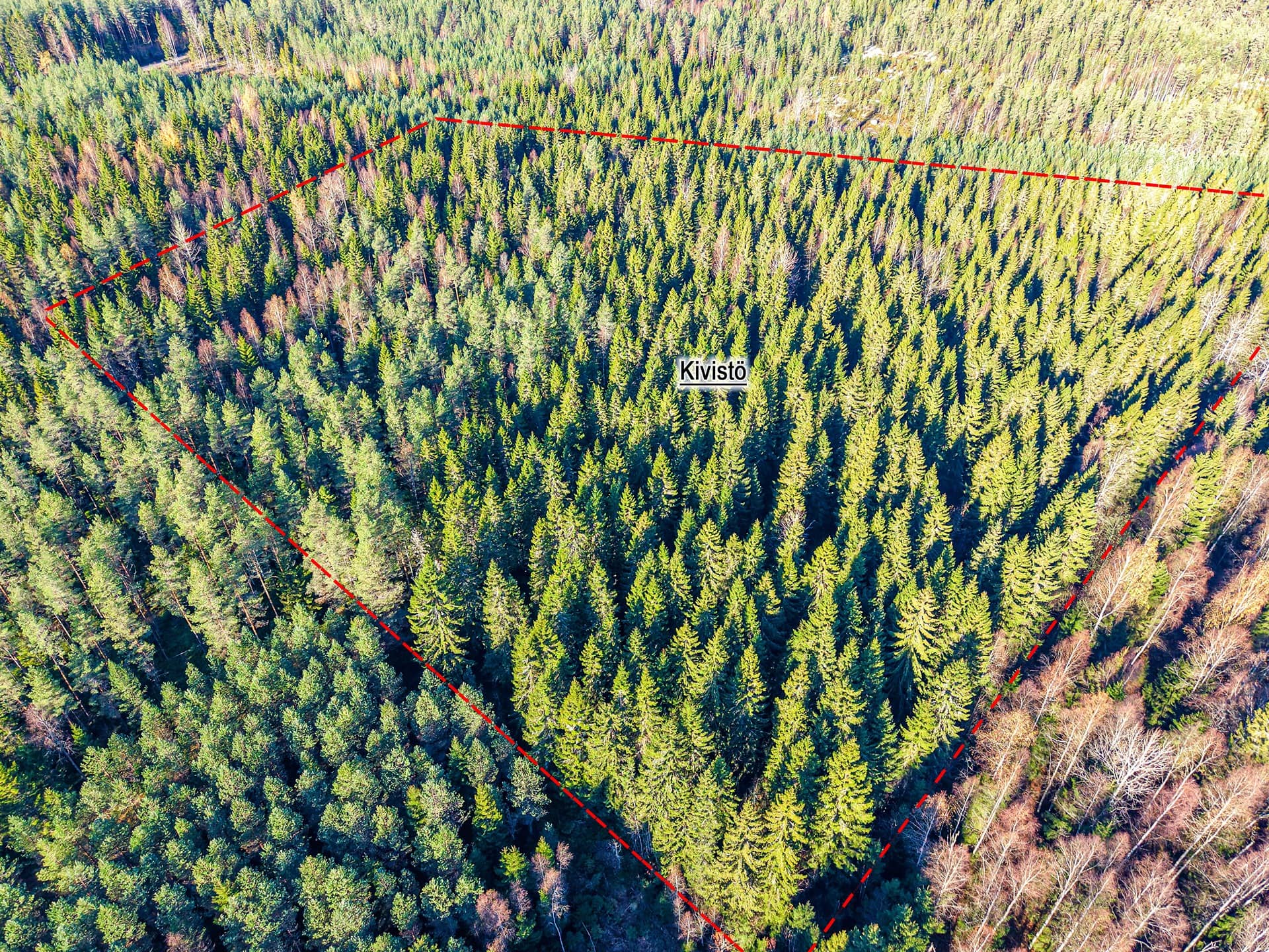 Seinäjoki, Ylistaro, Kivistö 743-439-1-110, määräala 1