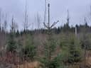 Jokiniemi I 729-402-15-4 1