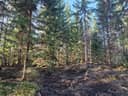 Metsätila Vähätalo 8:37 1