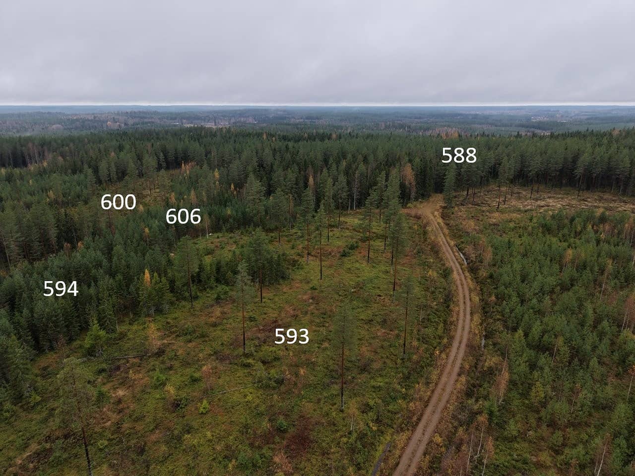 Virrat, Patalanmaja, Vaskimäki metsätila 1