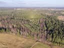 Orivesi, Onnistaipale, Hörtsänä, metsätila 1