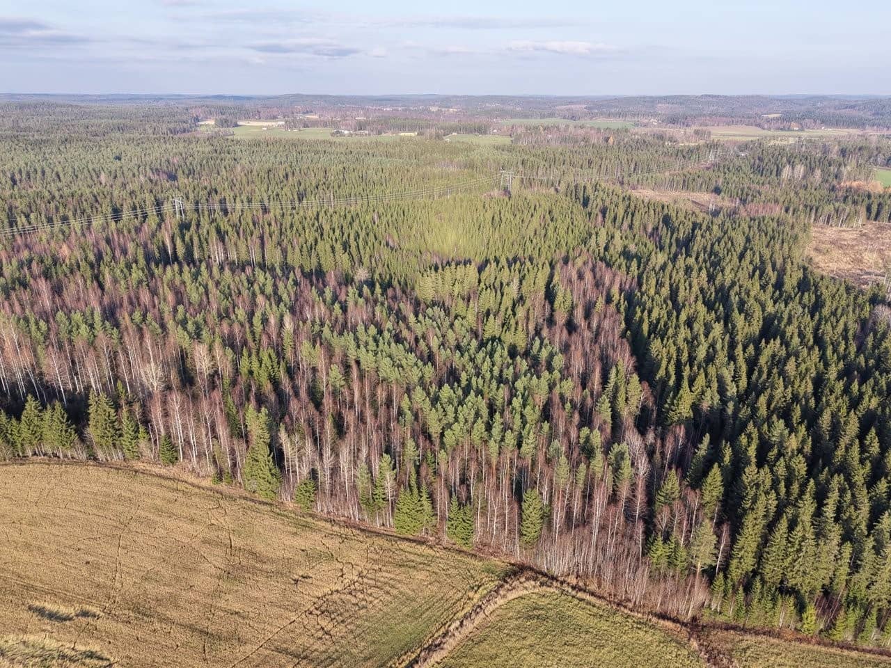 Orivesi, Onnistaipale, Hörtsänä, metsätila 1