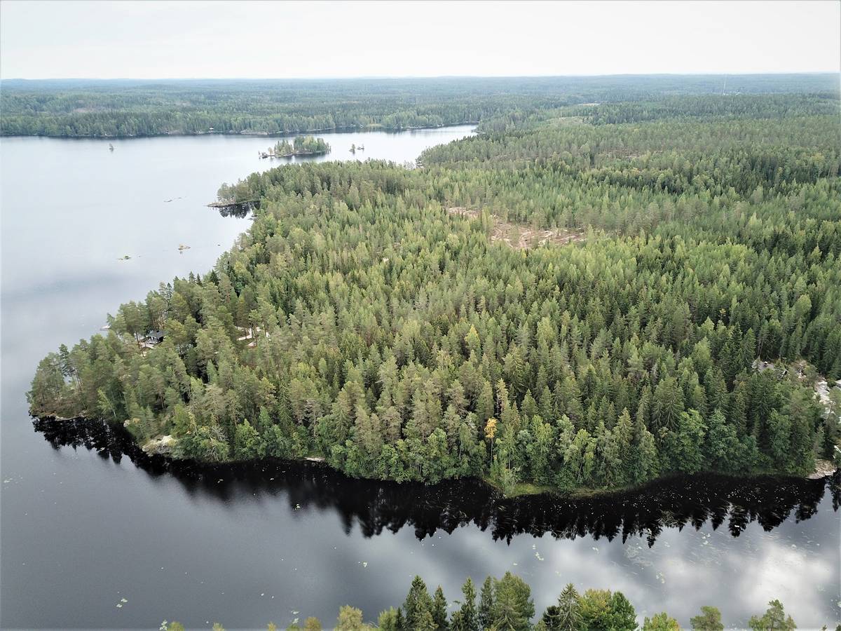 Omslagsbild för objektet Tampere, Pulesjärvi, Kotilahti, mökkitontti 2