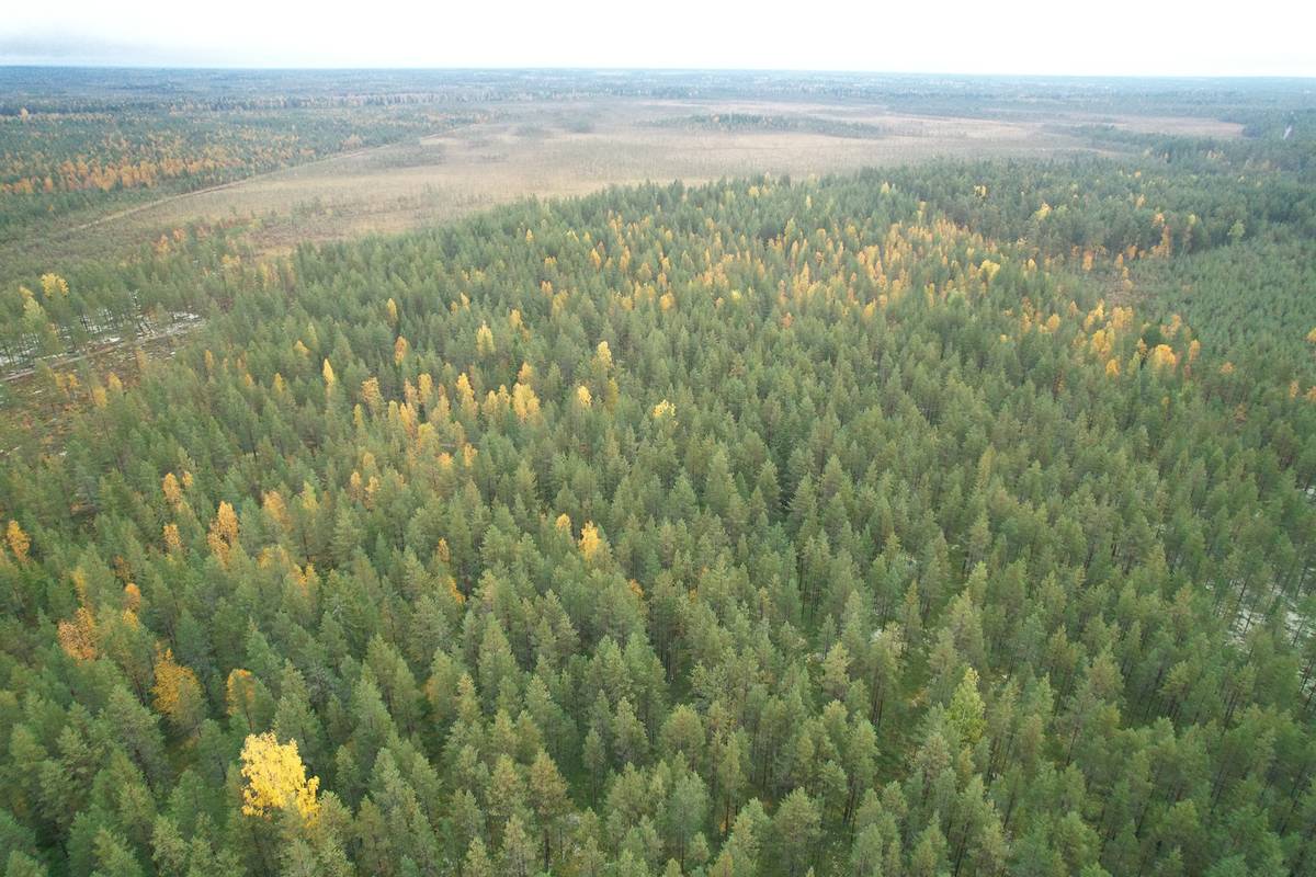 Etusivu Metsätilat.fi