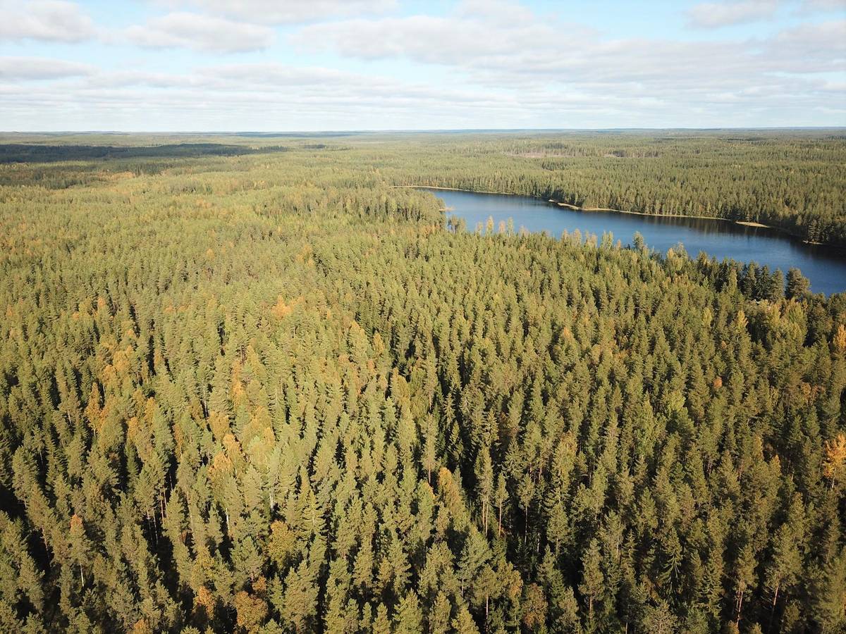 Pärmbild för Kalajärvi