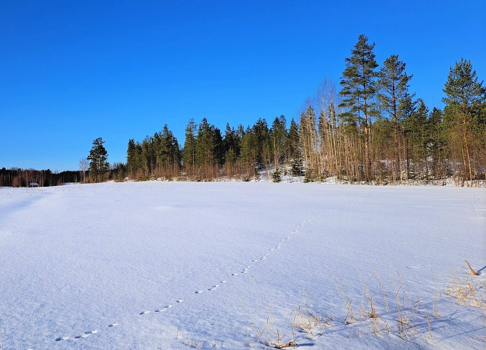 Lappajärvi KAISANMAA 3:63 -tila 10