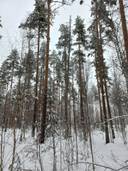 Jalasjärvi Kangas 164-416-7-31 9