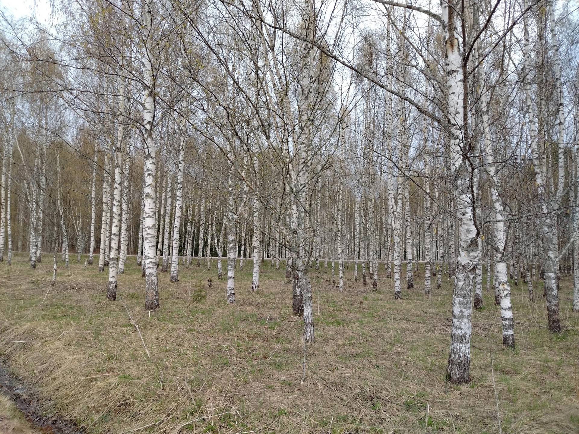 Kansikuva kohteelle Kuosmasenpellot 285-404-12-276