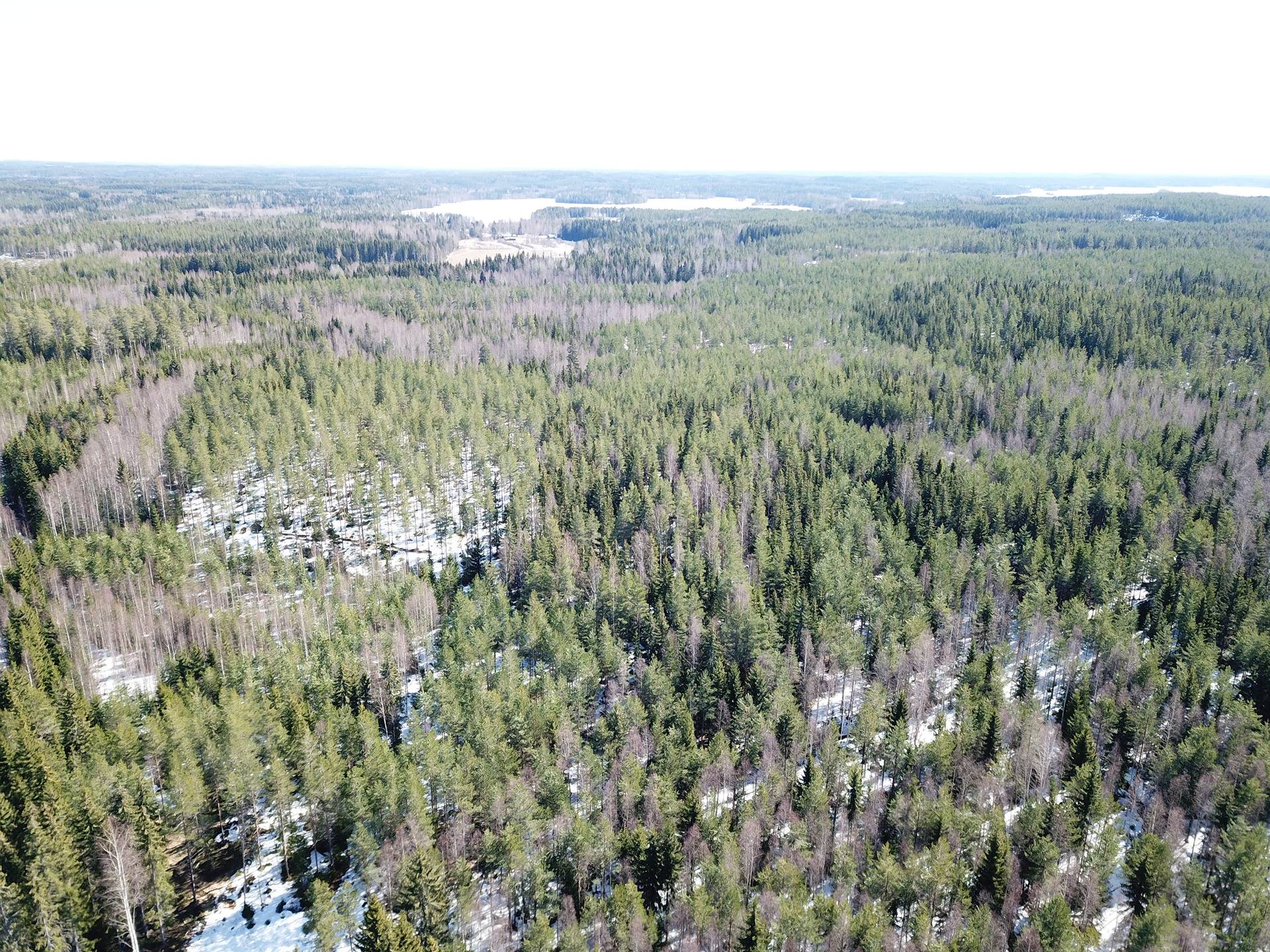 Orivesi, Längelmäki, Västilä, Manula I 2