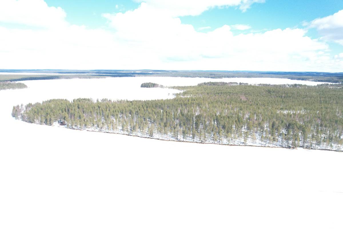 Omslagsbild för objektet MÄNTYRINNE II 620-405-65-31 tontti- ja metsäkiinteistö Osmankajärven Suihkonniemellä