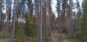 Kannonjärvi, Koukkuniemi 216-403-3-362 9