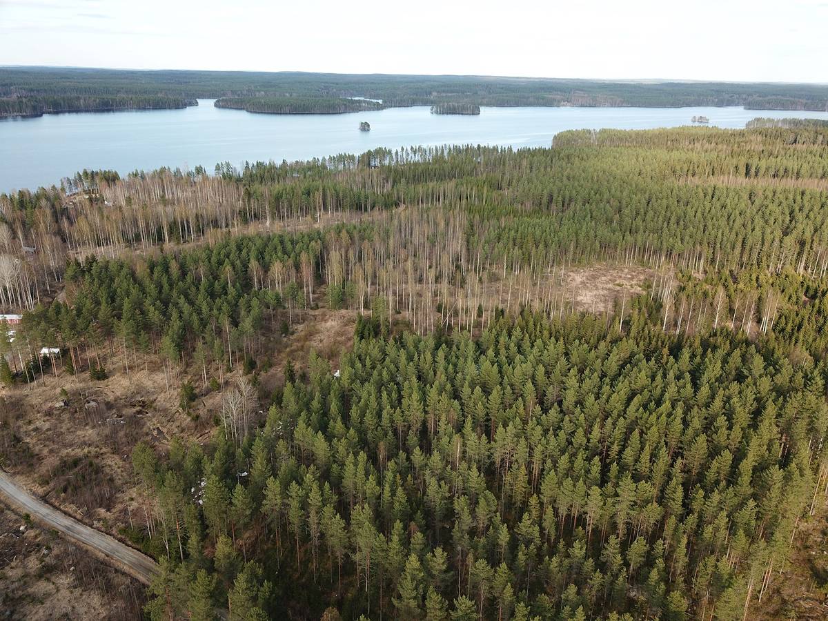Kansikuva kohteelle Kannonjärvi, Koukkuniemi 216-403-3-362