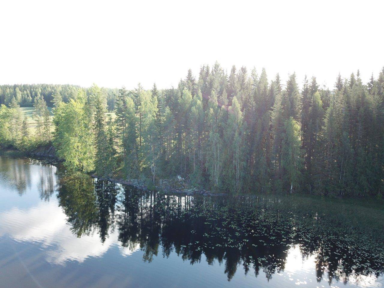 Ruovesi, Jäminkipohja, mökkitontti, Isojärvi, Katajaranta 2