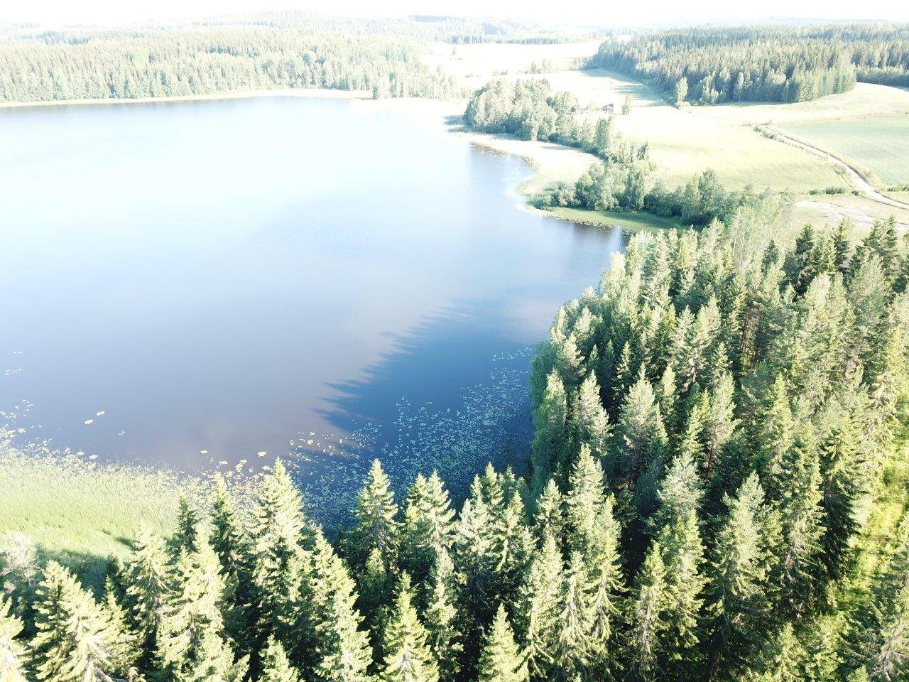 Ruovesi, Jäminkipohja, mökkitontti, Isojärvi, Katajaranta 5