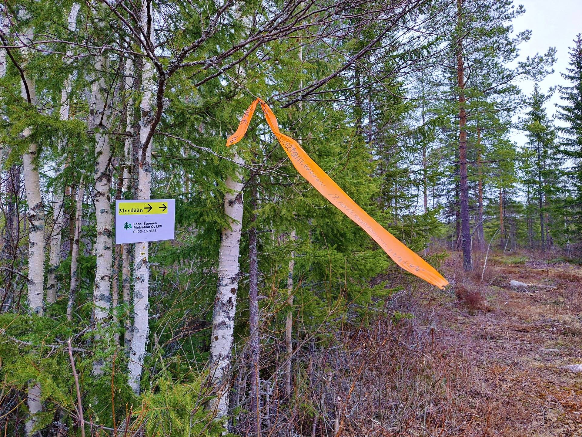 Lappajärvi REKOLA I 6:82 metsätila 17,7 ha 14