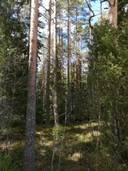 Maatilakokonaisuus, yht. 9,26 ha, Laitila, Kivijärvi, kolme erillistä kiinteistöä. 6