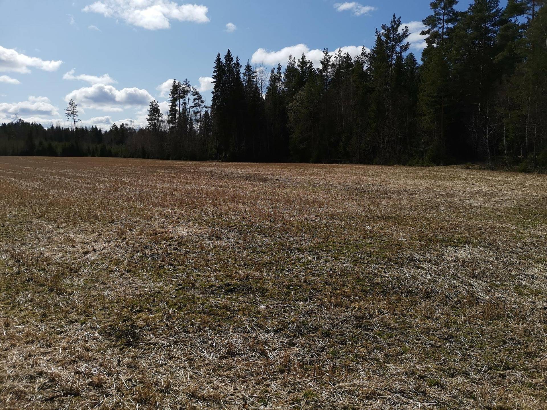 Maatilakokonaisuus, yht. 9,26 ha, Laitila, Kivijärvi, kolme erillistä kiinteistöä. 9