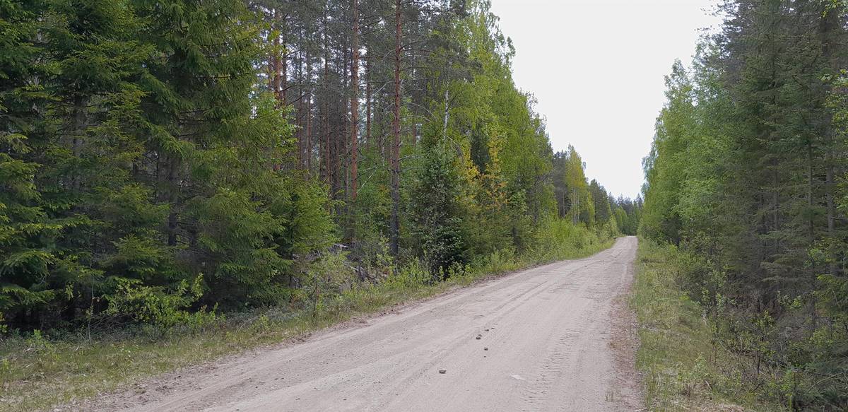 Omslagsbild för objektet Kalliojärvi, Saariharju 931-412-26-1