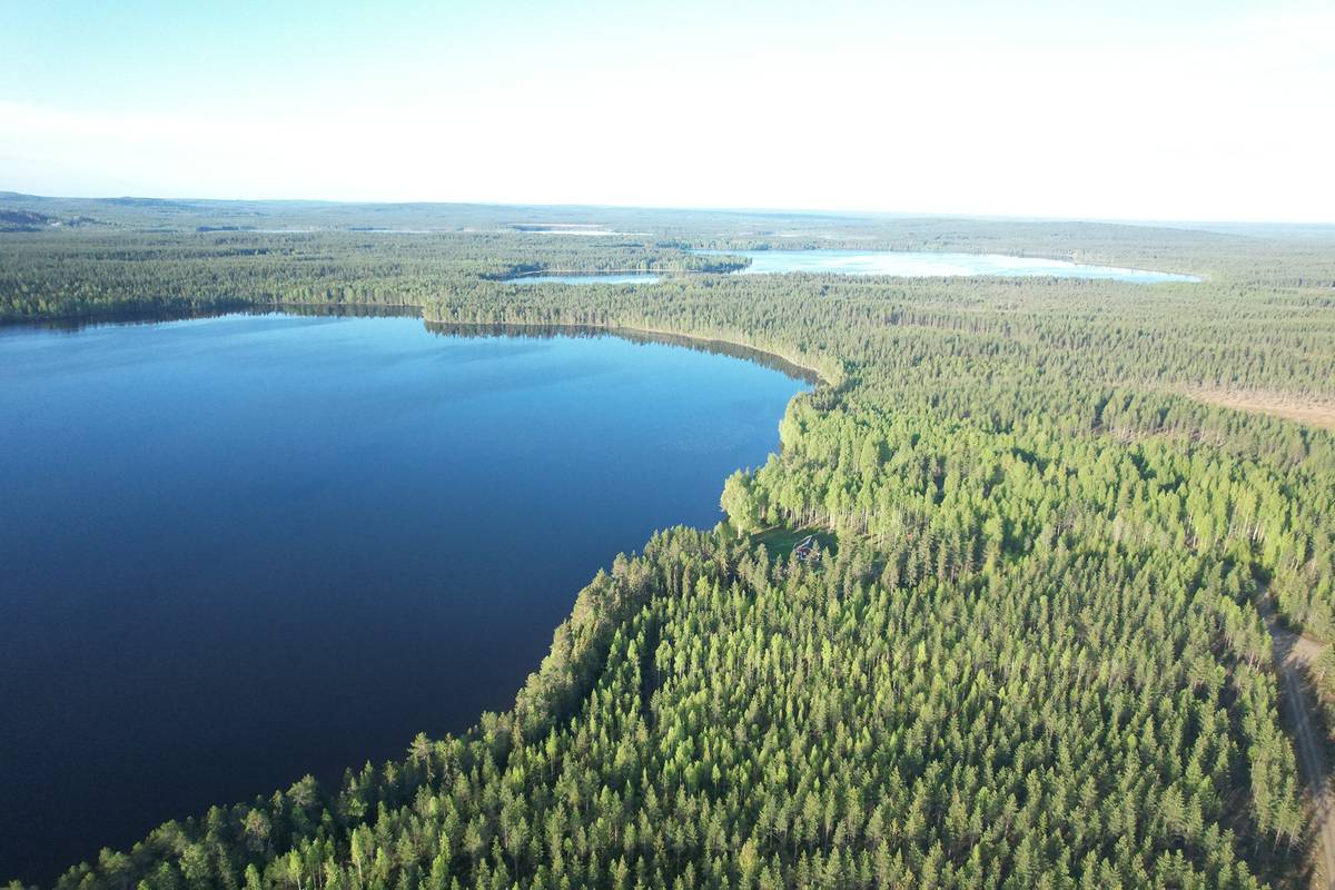 Omslagsbild för objektet RIEKKI 620-401-24-0 metsä- ja rantakiinteistö 77,3 ha Puolangalla