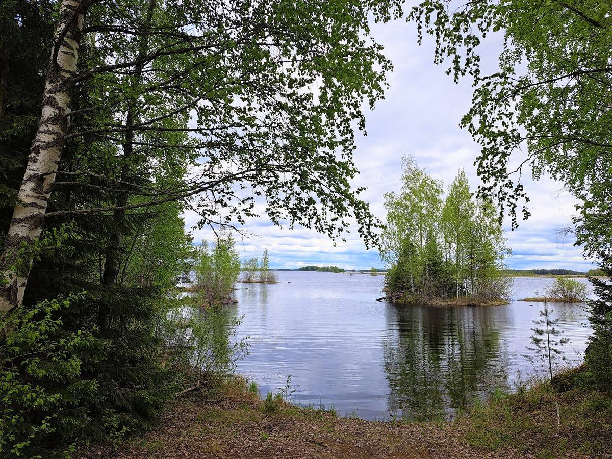 Kansikuva kohteelle Halsua, metsätila järven rannassa 21,05 ha, huvilamökki ja sauna