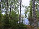 Halsua, metsätila järven rannassa 21,05 ha, huvilamökki ja sauna 12