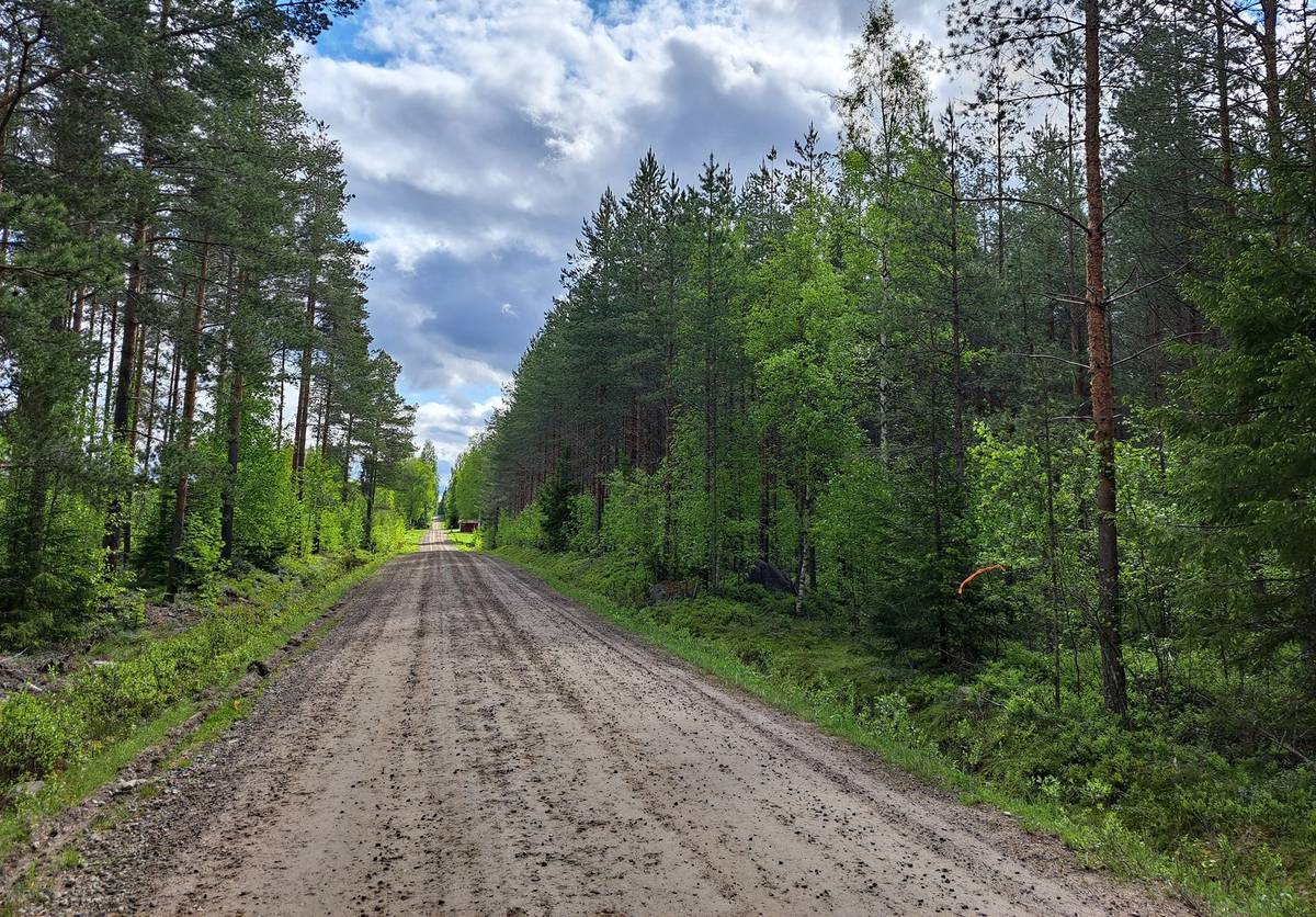 Omslagsbild för objektet Teerijärvi, ÄLGSKOG 74:3 metsätila 15,835 ha