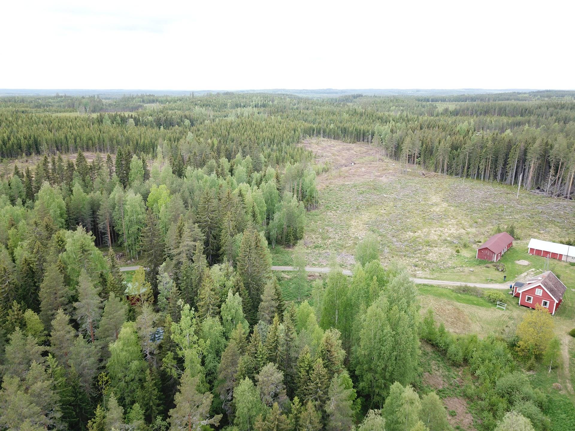 Ylöjärvi, Kuru, Kaakkolan tila 17