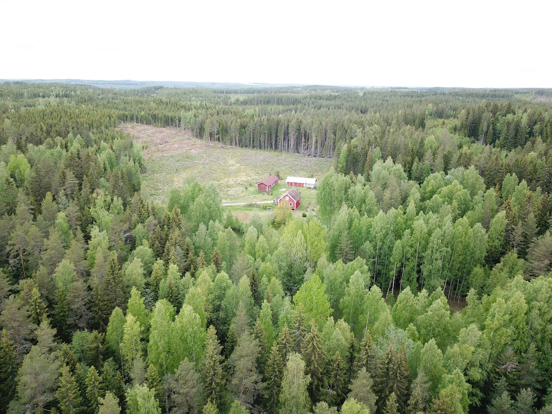 Ylöjärvi, Kuru, Kaakkolan tila 19