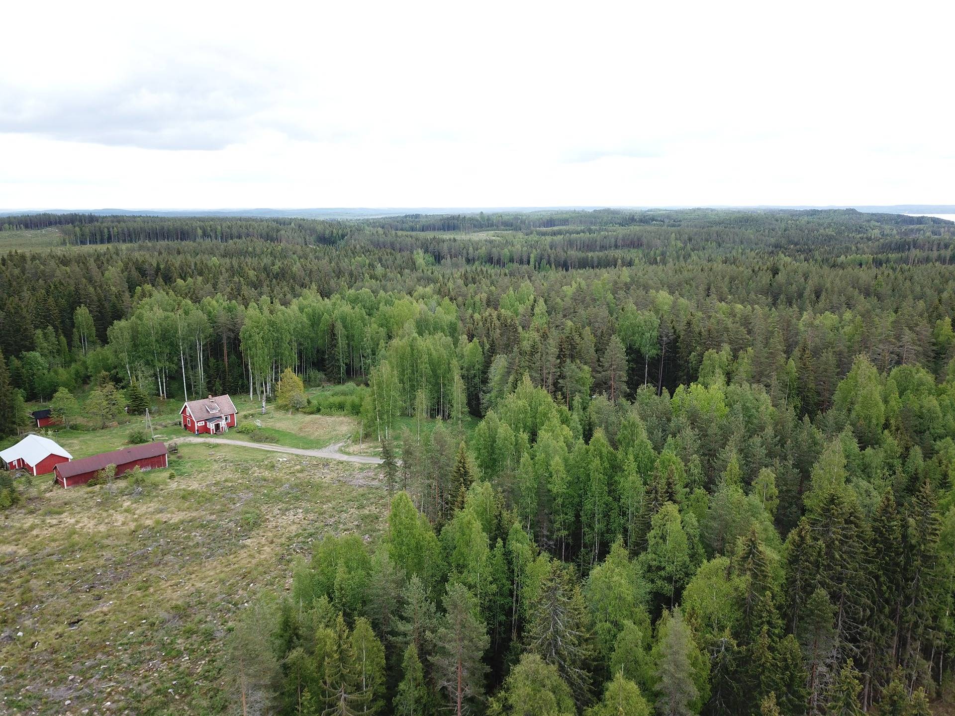 Ylöjärvi, Kuru, Kaakkolan tila 22