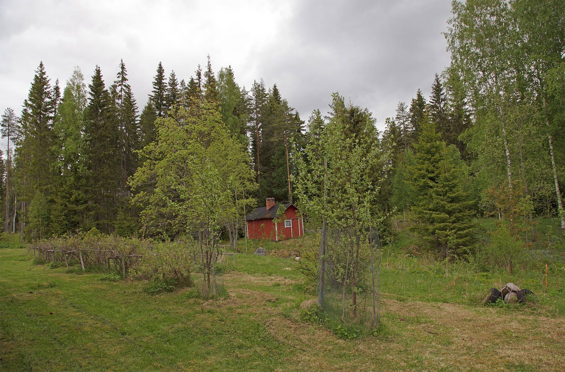 Ylöjärvi, Kuru, Kaakkolan tila 31