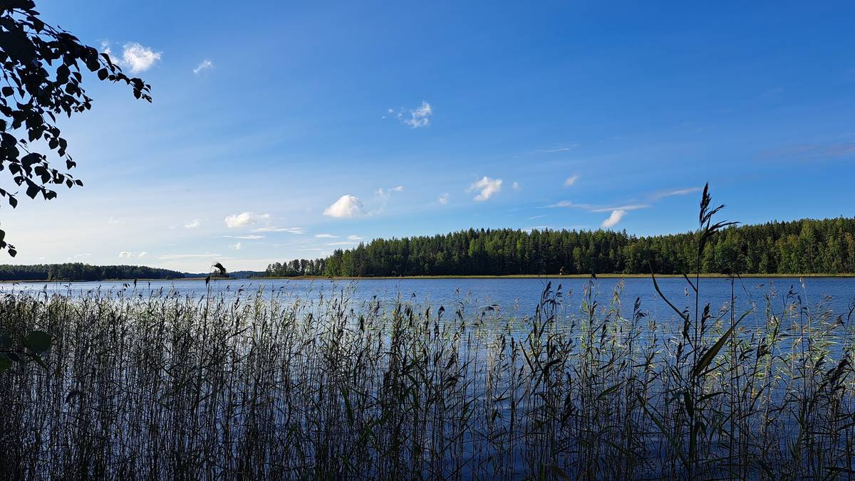Omslagsbild för objektet Tuoresniemi 740-527-1-26