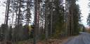 Muurasjärvi, Ristinmäki 601-403-3-344 5