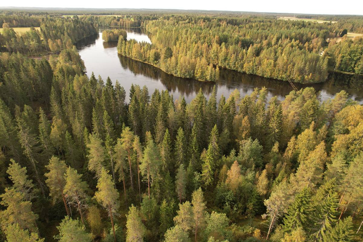Pohjois Pohjanmaa Mets tilat fi pohjois-pohjanmaa-mets-tilat-fi