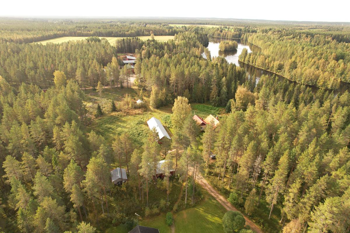 Omslagsbild för objektet ROVA 889-403-3-82 omakotitalo- ja metsäkiinteistö 24,73 ha AHMASKOSKI n. 15 KM UTAJÄRVEN KK