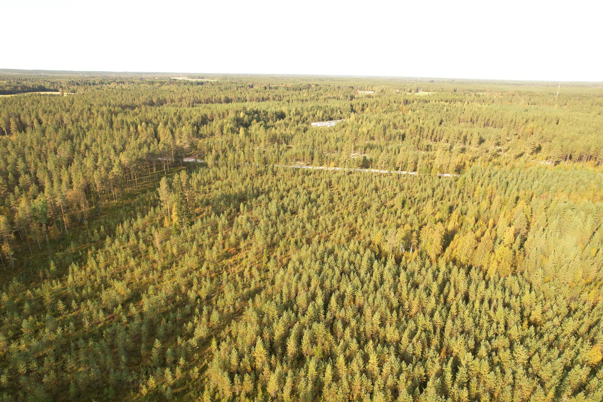 ROVA 889-403-3-82 omakotitalo- ja metsäkiinteistö 24,73 ha AHMASKOSKI n. 15 KM UTAJÄRVEN KK 8