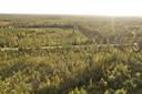 ROVA 889-403-3-82 omakotitalo- ja metsäkiinteistö 24,73 ha AHMASKOSKI n. 15 KM UTAJÄRVEN KK 11