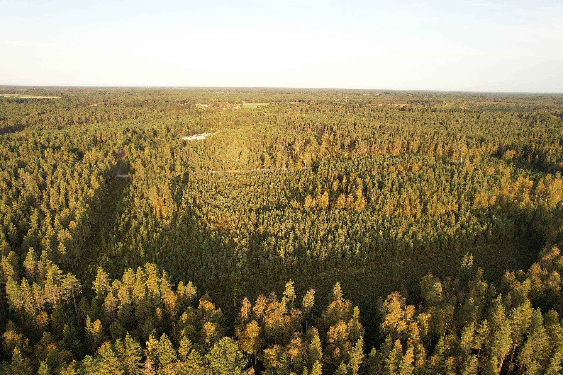 ROVA 889-403-3-82 omakotitalo- ja metsäkiinteistö 24,73 ha AHMASKOSKI n. 15 KM UTAJÄRVEN KK 14